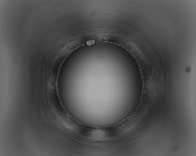 X0000091650218200708231228