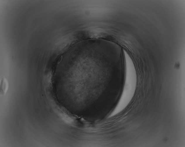 X0000091650219200708231228
