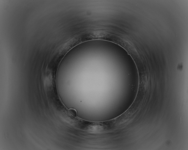 X0000091650220200708231228