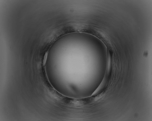 X0000091650221200708231228