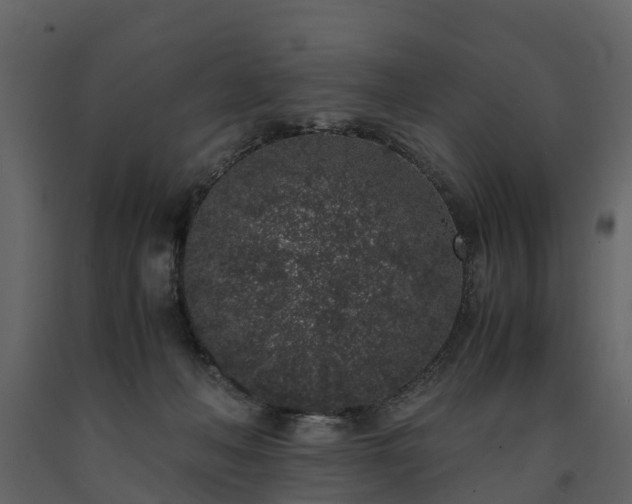 X0000091650222200708231228