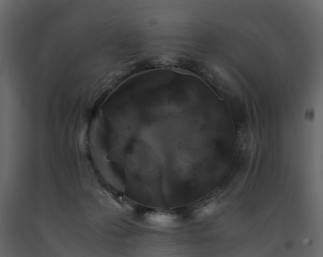 X0000091650223200708231228