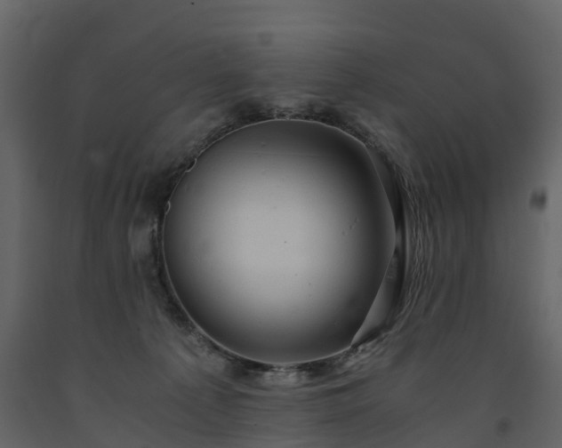 X0000091650225200708231228