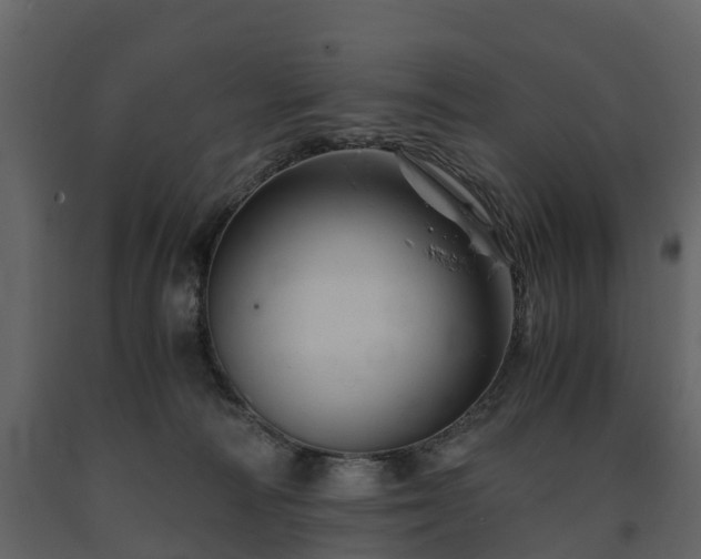 X0000091650226200708231228