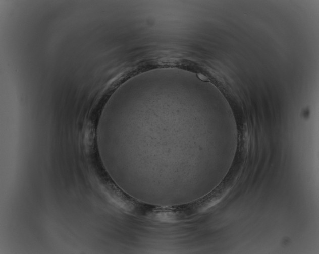 X0000091650228200708231228