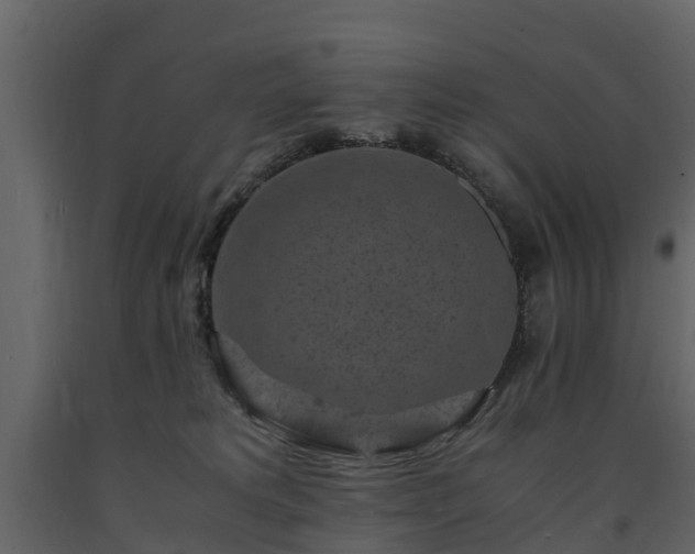 X0000091650229200708231228