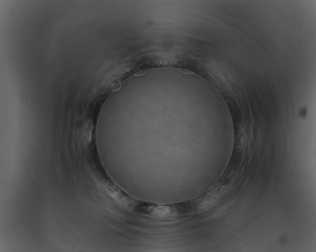 X0000091650230200708231228