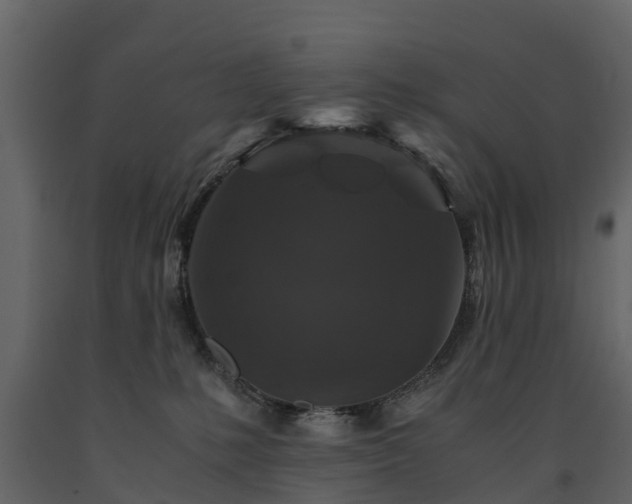 X0000091650231200708231228