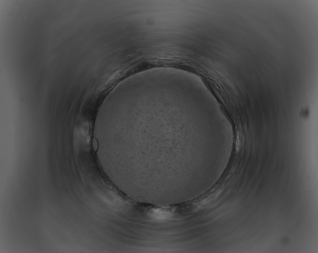 X0000091650232200708231228