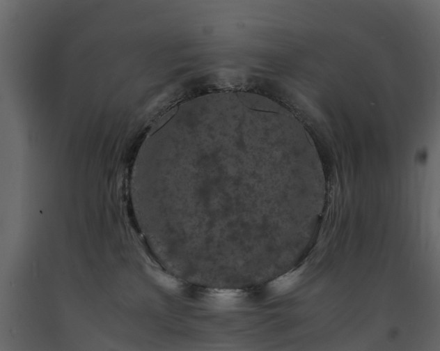 X0000091650233200708231228
