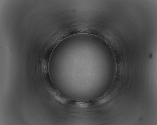 X0000091650234200708231228