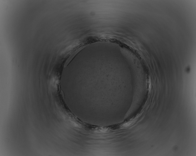 X0000091650235200708231228