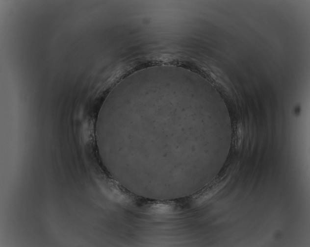 X0000091650236200708231228