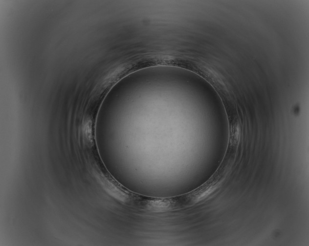 X0000091650238200708231228