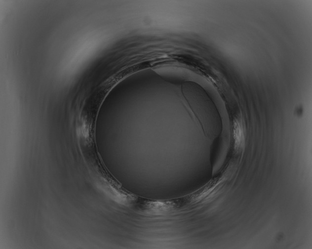 X0000091650239200708231228
