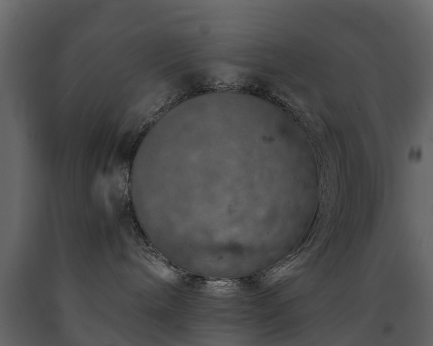 X0000091650240200708231228