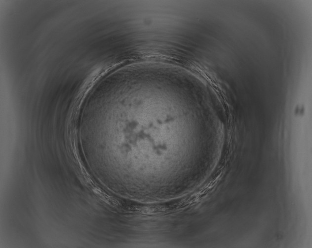 X0000091650241200708231227