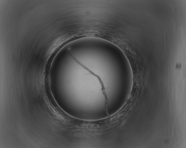X0000091650242200708231227