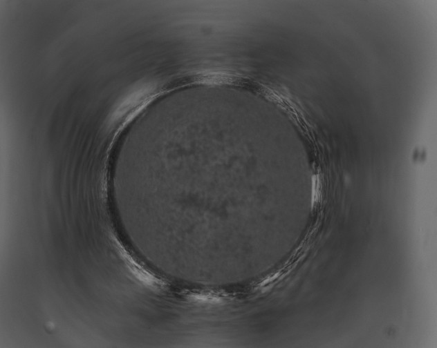 X0000091650243200708231227