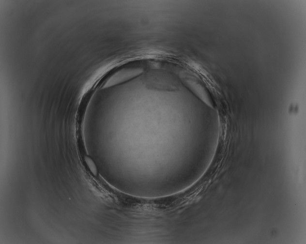 X0000091650244200708231227