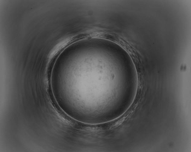 X0000091650245200708231227