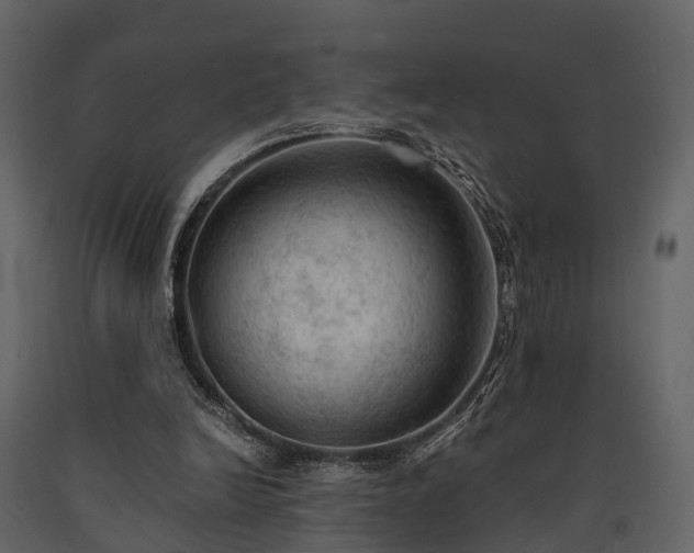 X0000091650246200708231227