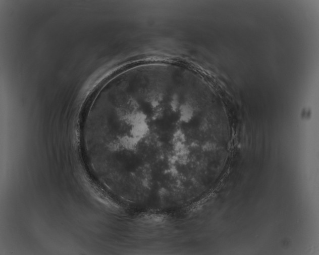 X0000091650247200708231227