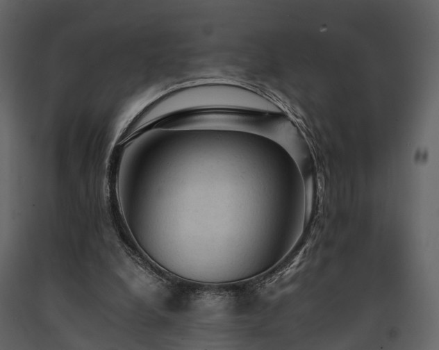 X0000091650248200708231227