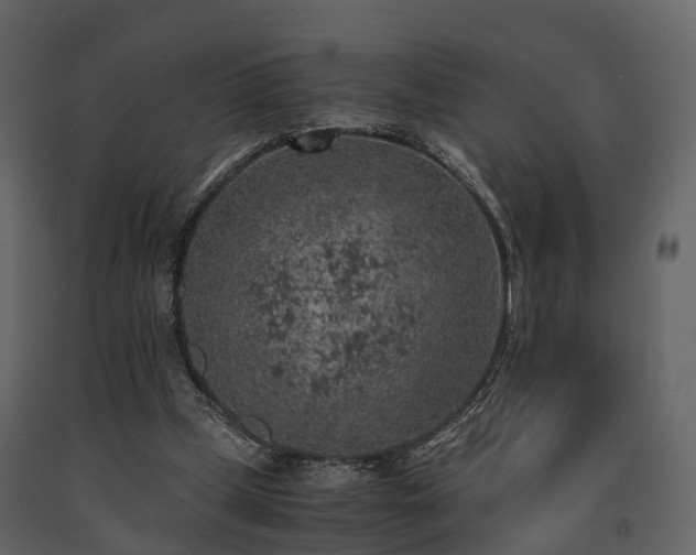 X0000091650249200708231227