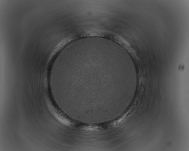 X0000091650250200708231227
