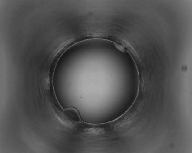 X0000091650251200708231227