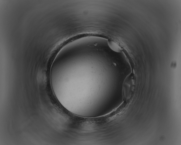 X0000091650252200708231227