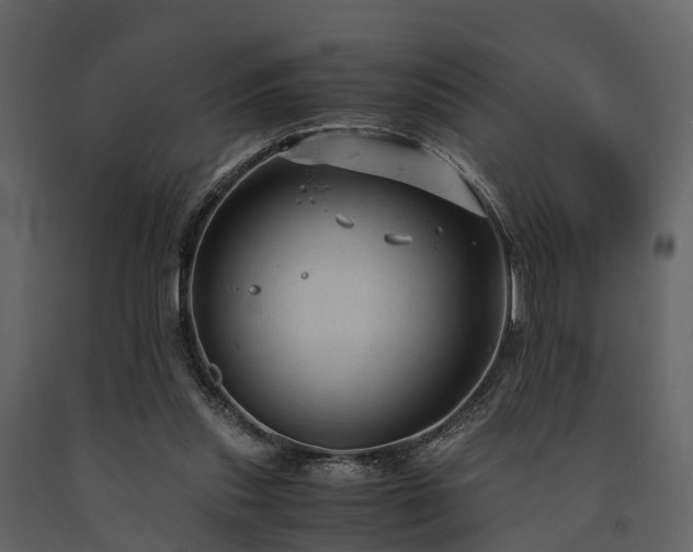 X0000091650253200708231227