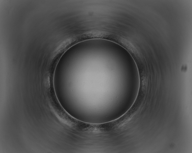X0000091650254200708231227