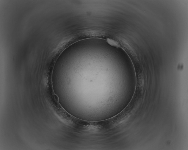 X0000091650255200708231227