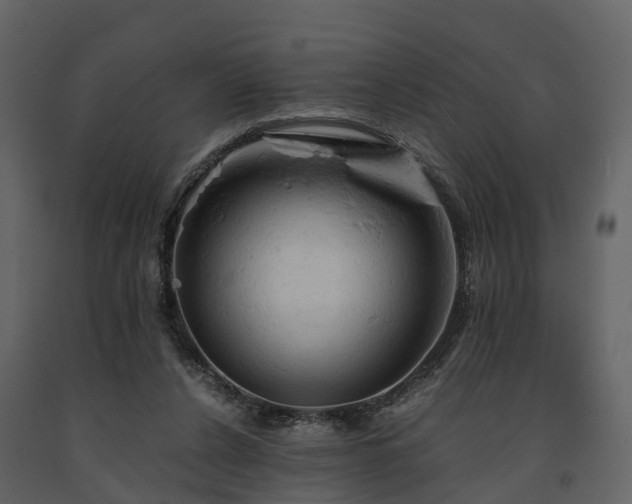 X0000091650256200708231227
