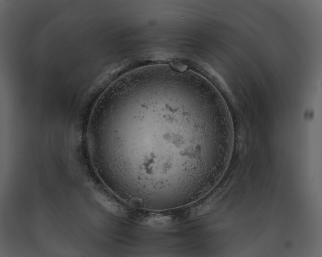 X0000091650257200708231227