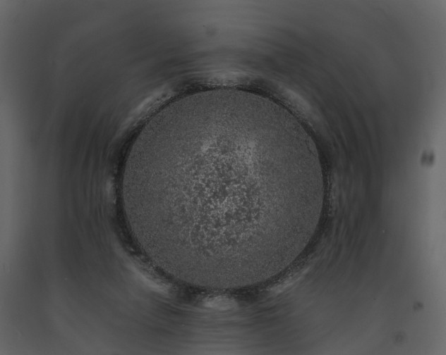 X0000091650258200708231227