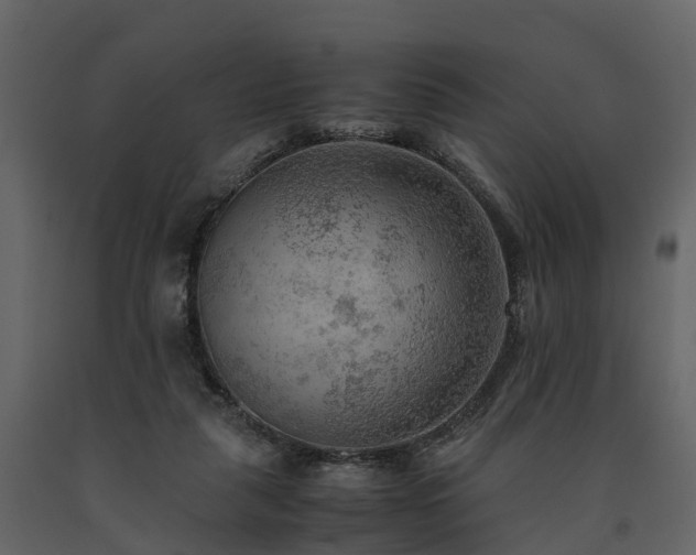 X0000091650259200708231227