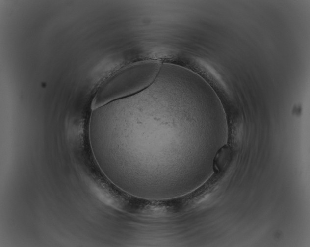 X0000091650260200708231227