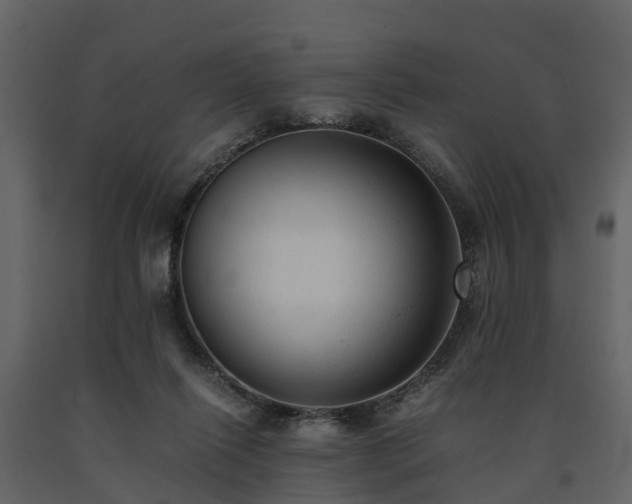 X0000091650262200708231227