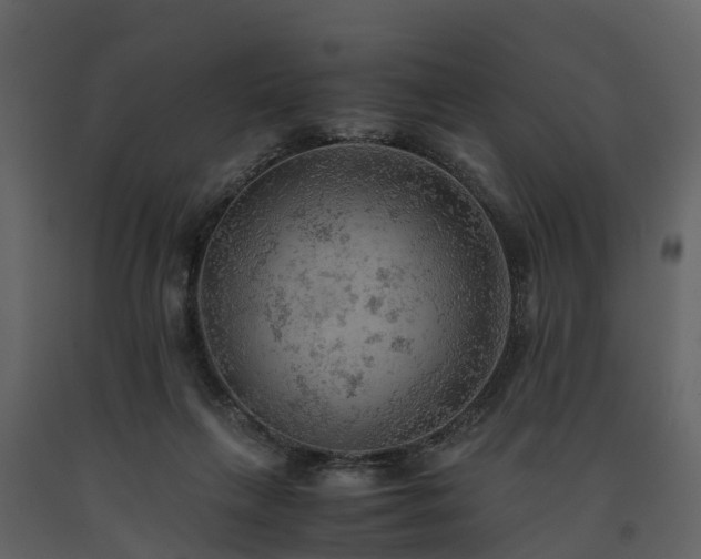 X0000091650263200708231227