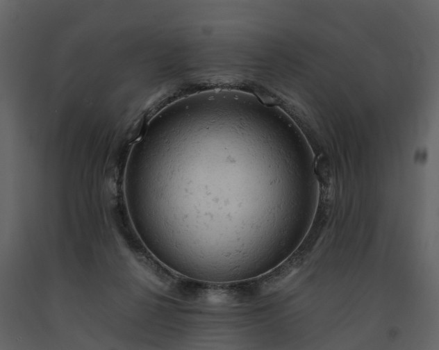 X0000091650264200708231227