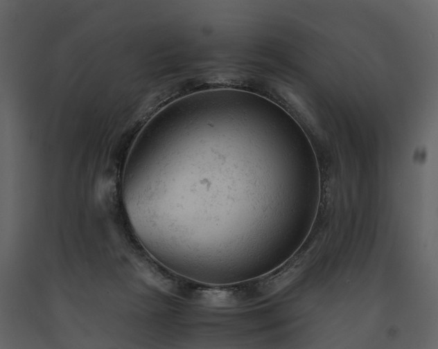 X0000091650265200708231228