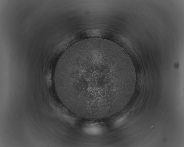 X0000091650267200708231228