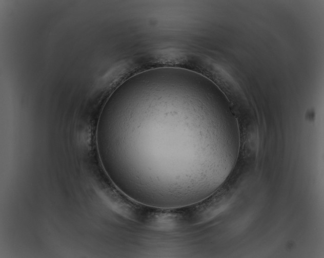 X0000091650268200708231228