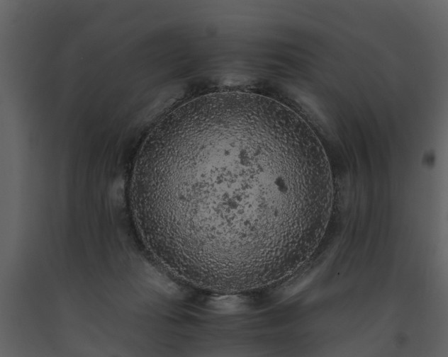X0000091650269200708231228