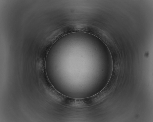 X0000091650270200708231228