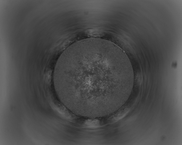 X0000091650271200708231228