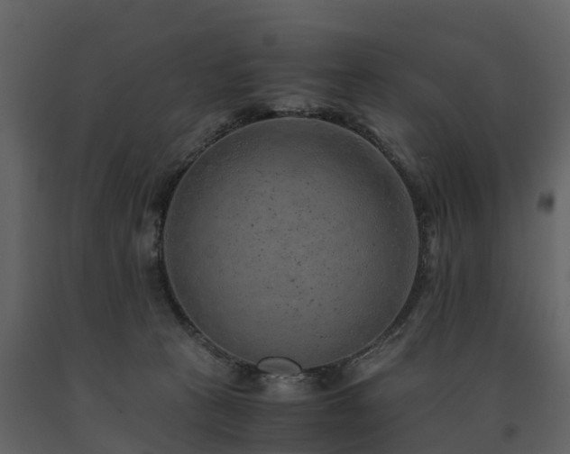 X0000091650273200708231228